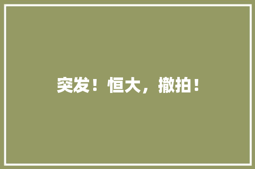 突发！恒大，撤拍！ 突发！恒大，撤拍！ 冰箱