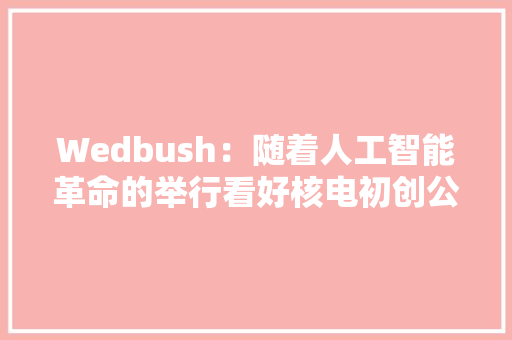 Wedbush：随着人工智能革命的举行看好核电初创公司Oklo 冰箱